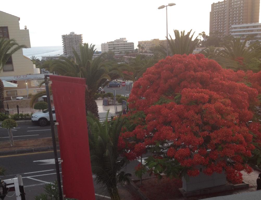 Penthouse El Mirador Los Cristianos Tenerife - Vv Rom bilde